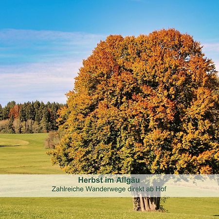 Chalet - Ferienwohnungen - Biohof Stoeger - Panoramasuedbalkon - Grandiose Aussicht Auf See, Berge Und Schloss Neuschwanstein Rieden Dış mekan fotoğraf