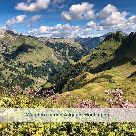 Chalet - Ferienwohnungen - Biohof Stoeger - Panoramasuedbalkon - Grandiose Aussicht Auf See, Berge Und Schloss Neuschwanstein Rieden Dış mekan fotoğraf