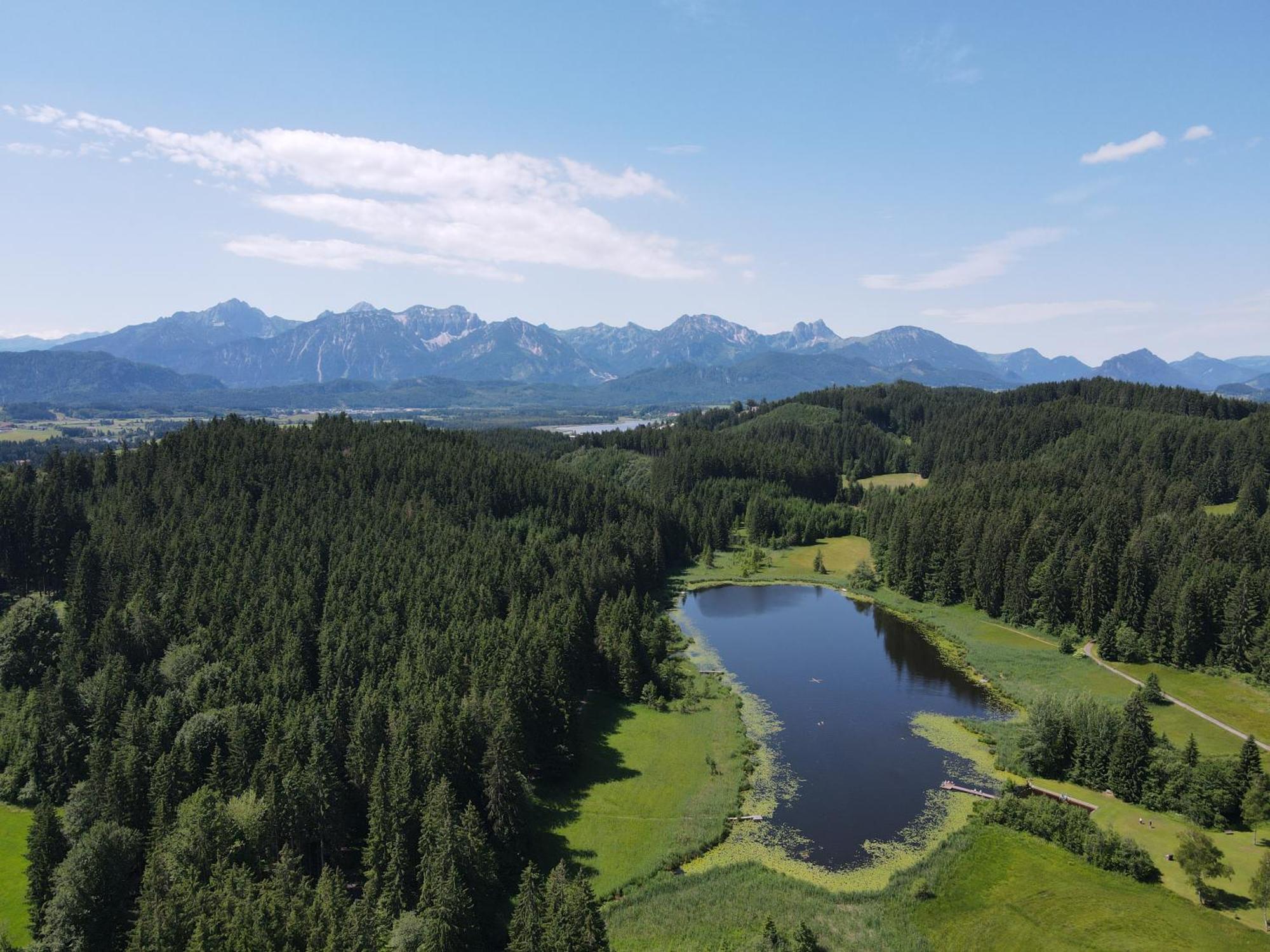 Chalet - Ferienwohnungen - Biohof Stoeger - Panoramasuedbalkon - Grandiose Aussicht Auf See, Berge Und Schloss Neuschwanstein Rieden Dış mekan fotoğraf