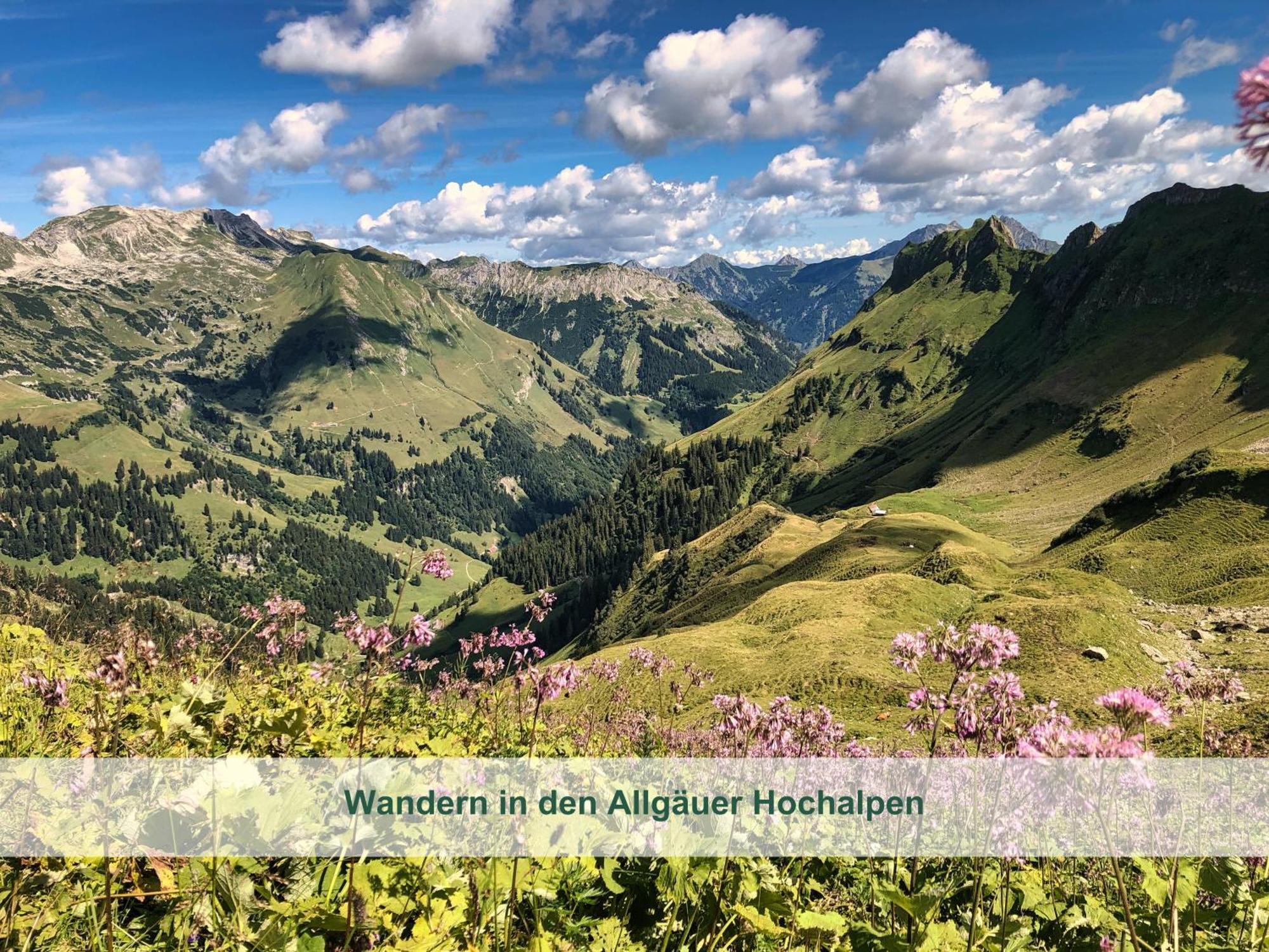 Chalet - Ferienwohnungen - Biohof Stoeger - Panoramasuedbalkon - Grandiose Aussicht Auf See, Berge Und Schloss Neuschwanstein Rieden Dış mekan fotoğraf