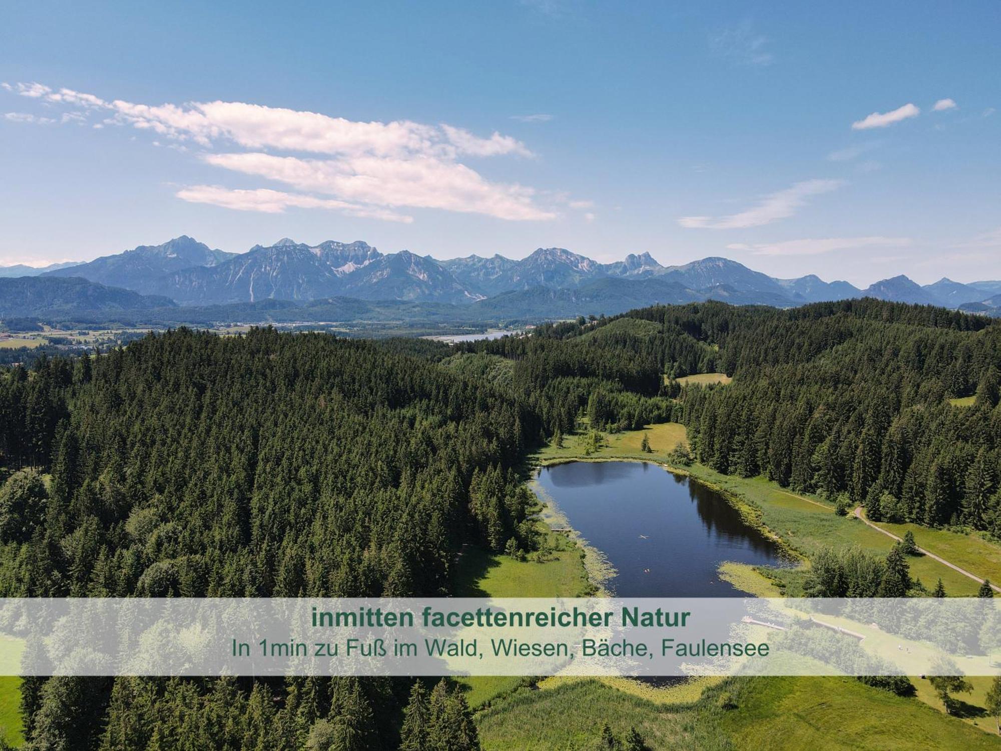 Chalet - Ferienwohnungen - Biohof Stoeger - Panoramasuedbalkon - Grandiose Aussicht Auf See, Berge Und Schloss Neuschwanstein Rieden Dış mekan fotoğraf