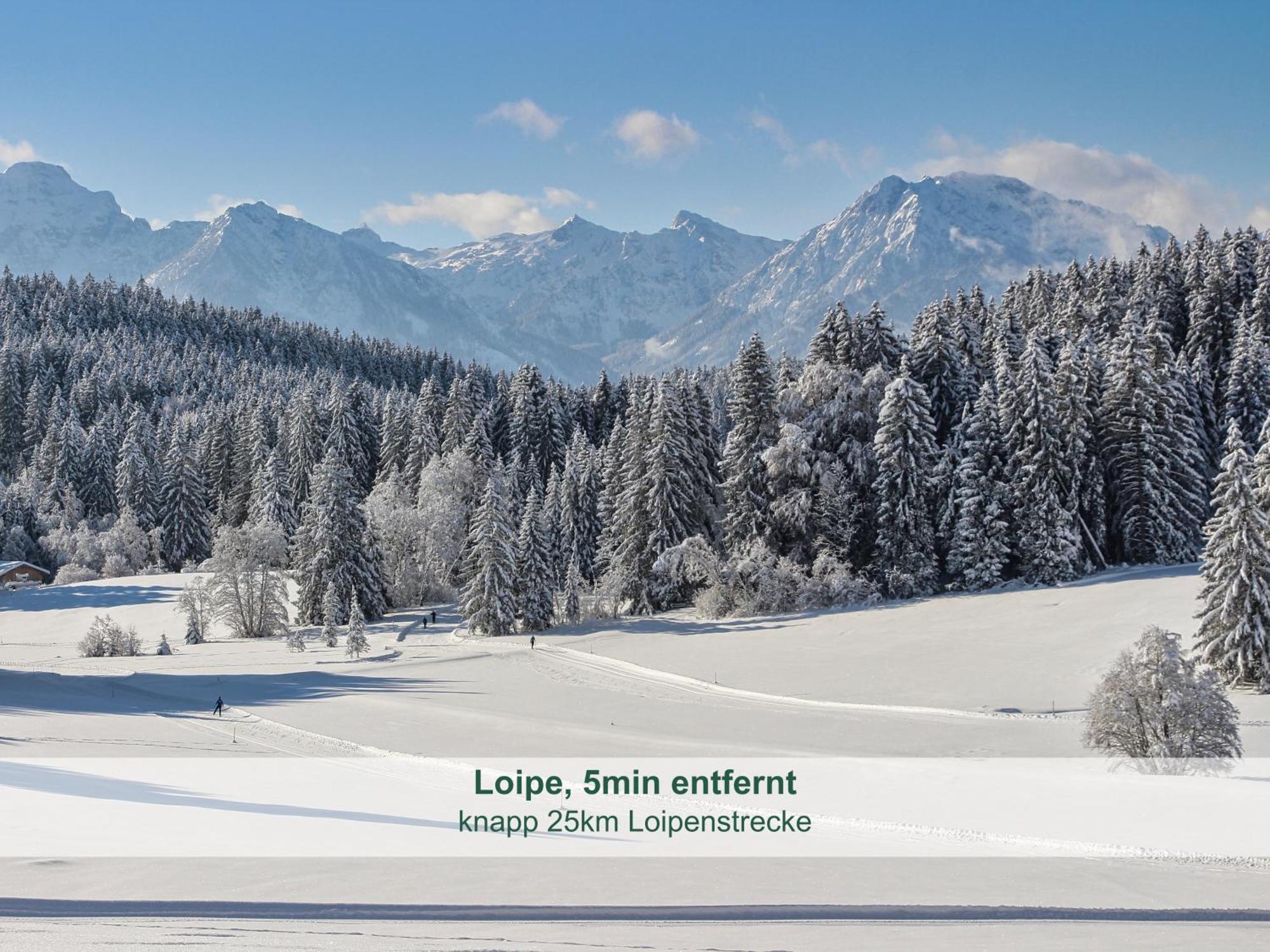 Chalet - Ferienwohnungen - Biohof Stoeger - Panoramasuedbalkon - Grandiose Aussicht Auf See, Berge Und Schloss Neuschwanstein Rieden Dış mekan fotoğraf