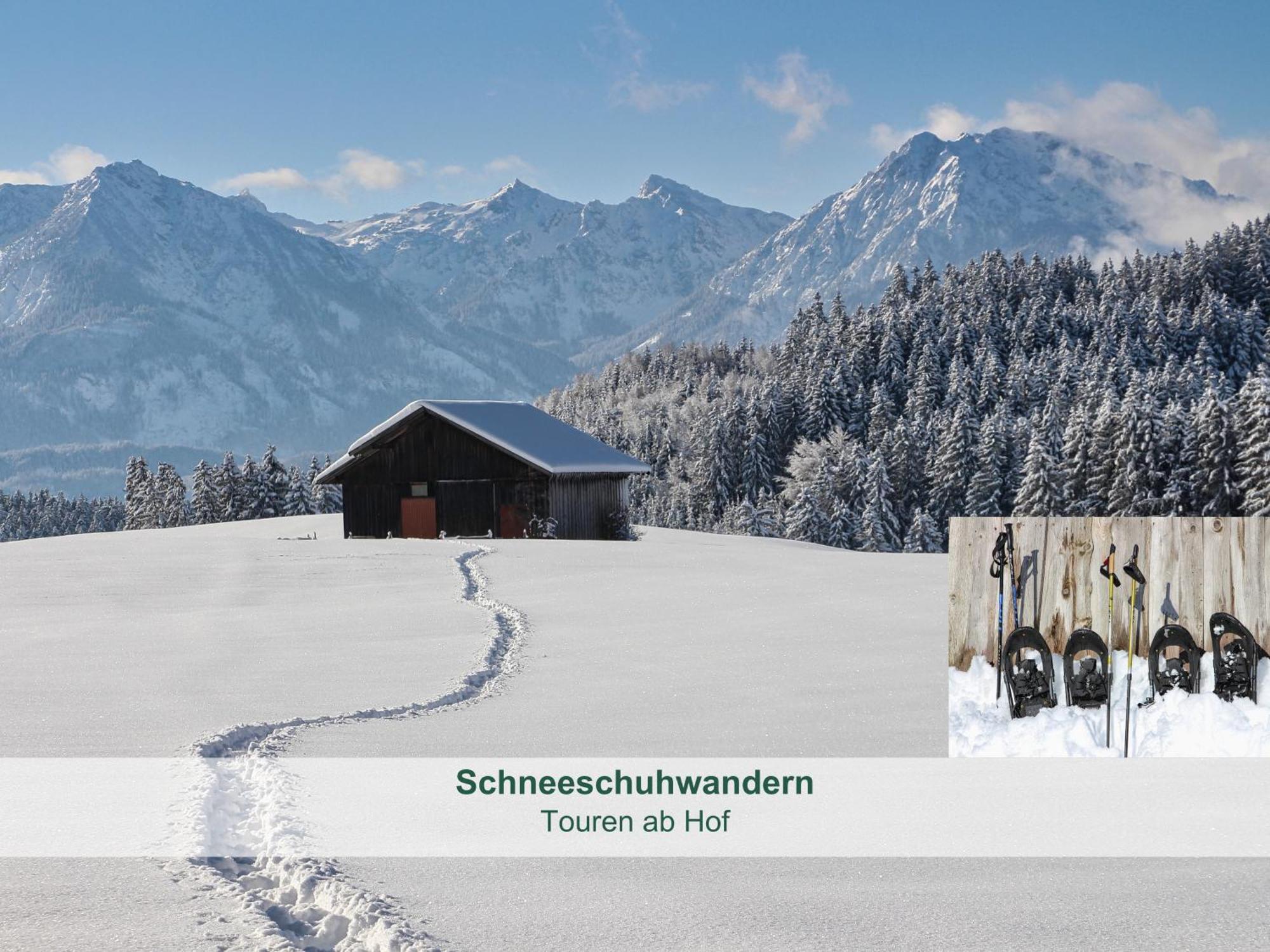 Chalet - Ferienwohnungen - Biohof Stoeger - Panoramasuedbalkon - Grandiose Aussicht Auf See, Berge Und Schloss Neuschwanstein Rieden Dış mekan fotoğraf