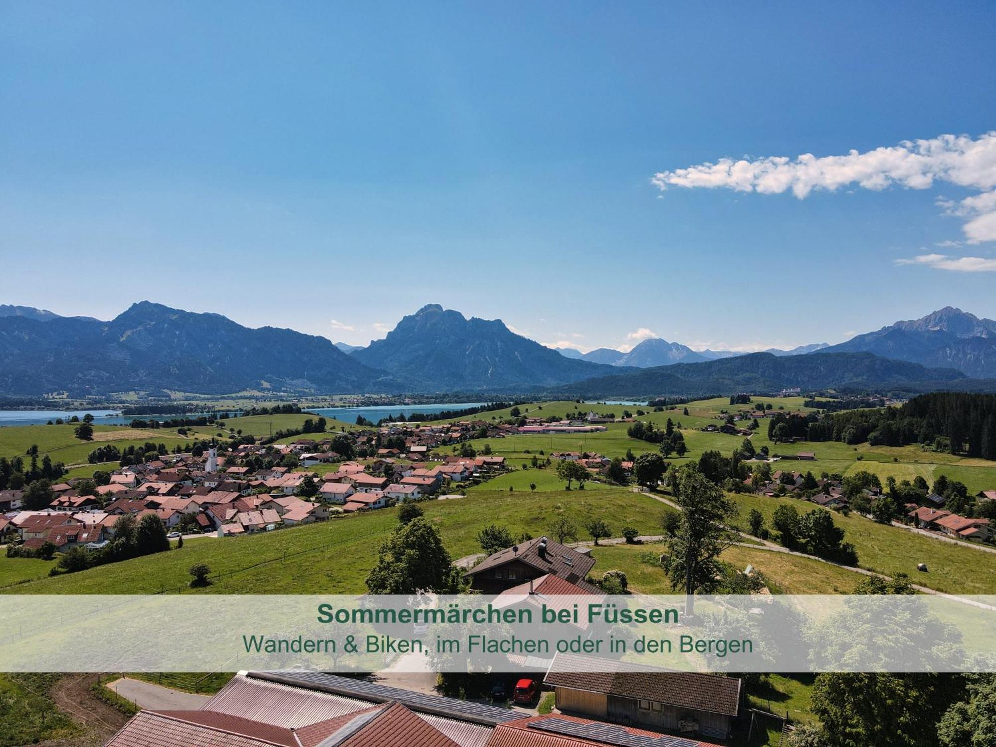Chalet - Ferienwohnungen - Biohof Stoeger - Panoramasuedbalkon - Grandiose Aussicht Auf See, Berge Und Schloss Neuschwanstein Rieden Dış mekan fotoğraf