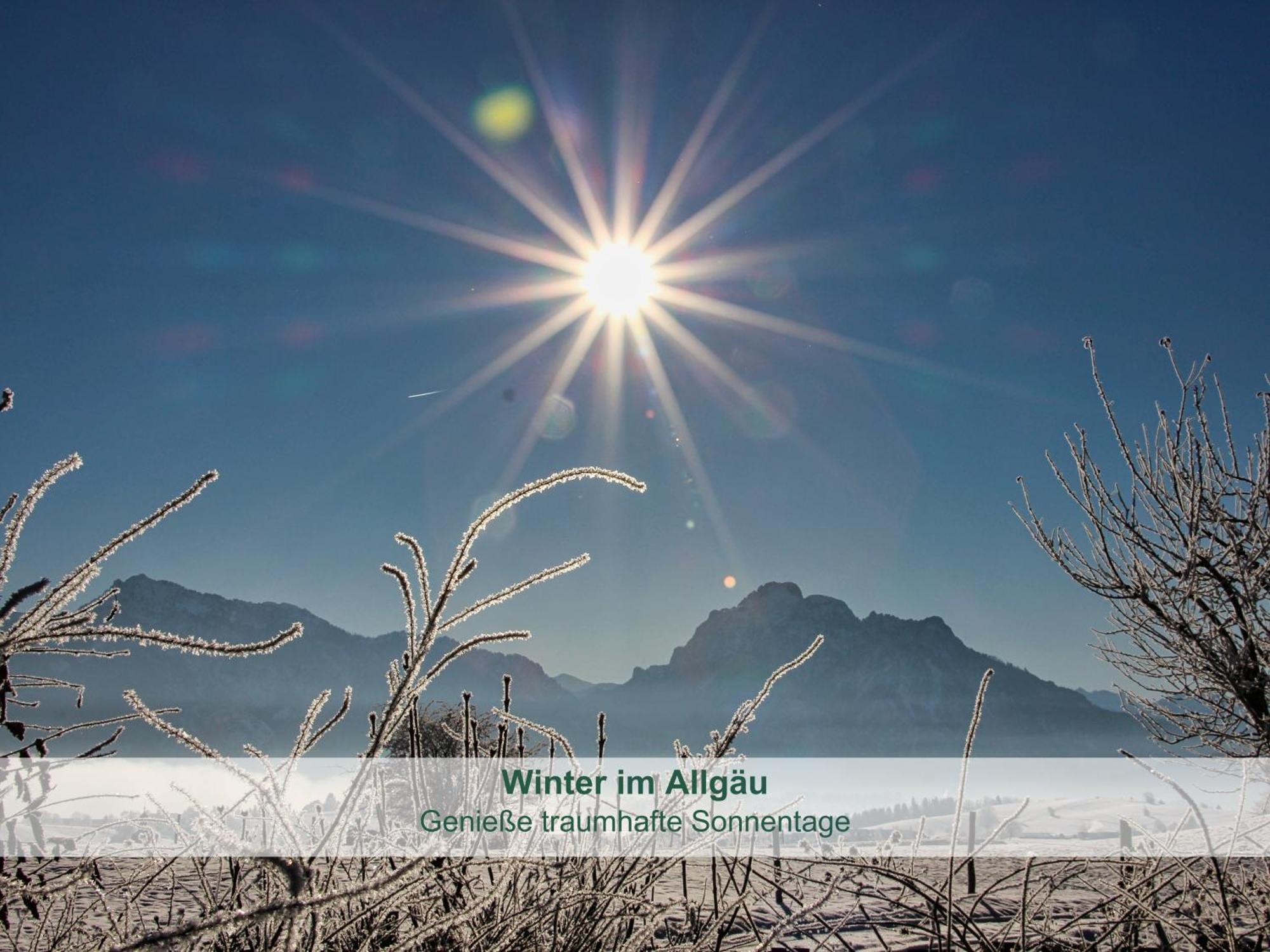 Chalet - Ferienwohnungen - Biohof Stoeger - Panoramasuedbalkon - Grandiose Aussicht Auf See, Berge Und Schloss Neuschwanstein Rieden Dış mekan fotoğraf