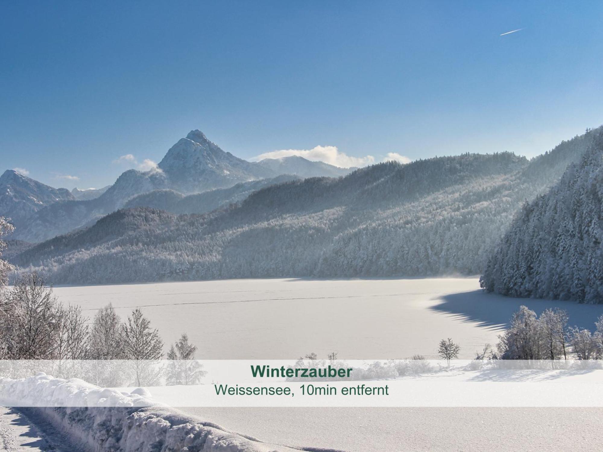 Chalet - Ferienwohnungen - Biohof Stoeger - Panoramasuedbalkon - Grandiose Aussicht Auf See, Berge Und Schloss Neuschwanstein Rieden Dış mekan fotoğraf