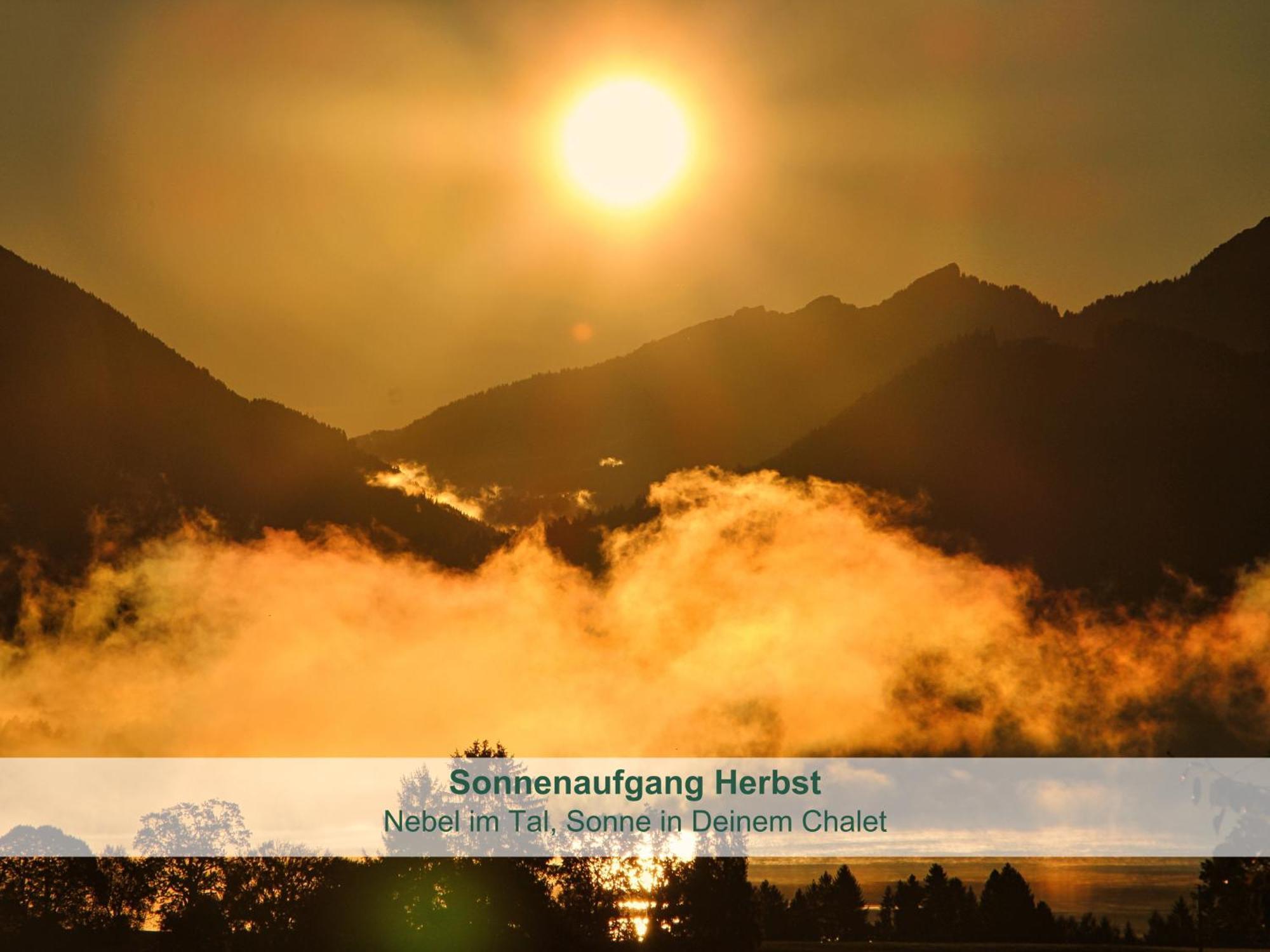 Chalet - Ferienwohnungen - Biohof Stoeger - Panoramasuedbalkon - Grandiose Aussicht Auf See, Berge Und Schloss Neuschwanstein Rieden Dış mekan fotoğraf