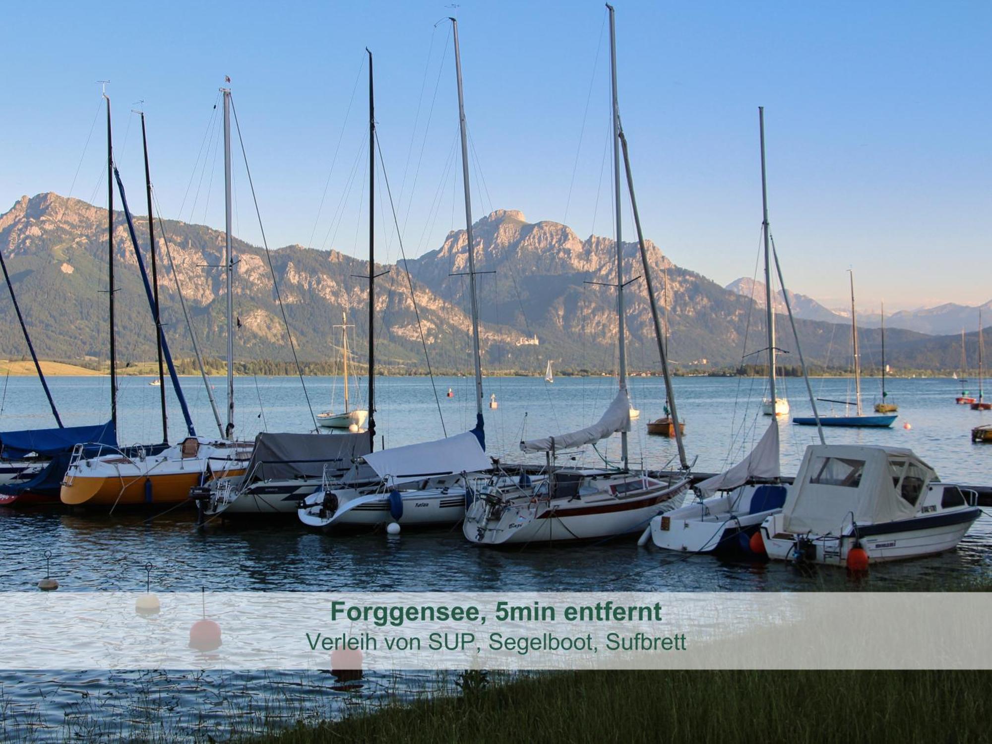 Chalet - Ferienwohnungen - Biohof Stoeger - Panoramasuedbalkon - Grandiose Aussicht Auf See, Berge Und Schloss Neuschwanstein Rieden Dış mekan fotoğraf